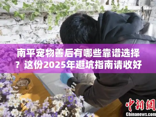 南平宠物善后有哪些靠谱选择？这份2025年避坑指南请收好