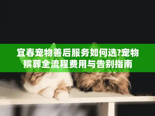 宜春宠物善后服务如何选?宠物殡葬全流程费用与告别指南