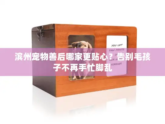 滨州宠物善后哪家更贴心？告别毛孩子不再手忙脚乱