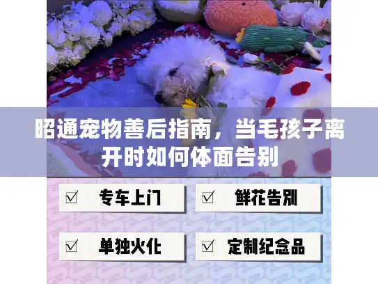昭通宠物善后指南，当毛孩子离开时如何体面告别