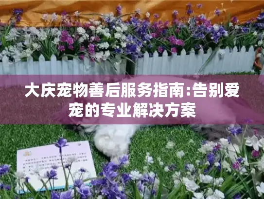 大庆宠物善后服务指南:告别爱宠的专业解决方案