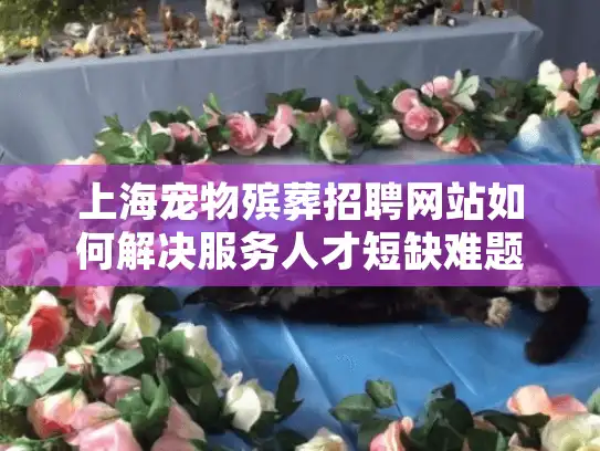 上海宠物殡葬招聘网站如何解决服务人才短缺难题?