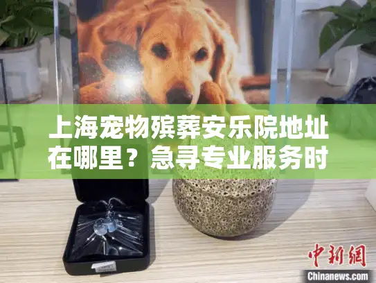 上海宠物殡葬安乐院地址在哪里？急寻专业服务时的选择指南