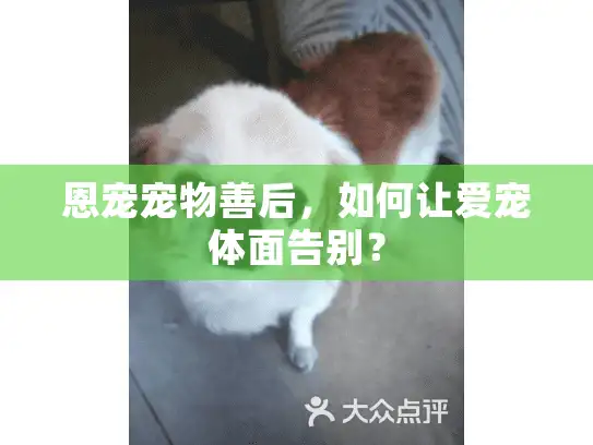 恩宠宠物善后，如何让爱宠体面告别？