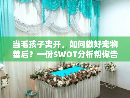 当毛孩子离开，如何做好宠物善后？一份SWOT分析帮你告别遗憾