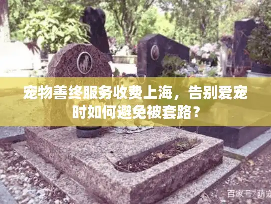 宠物善终服务收费上海，告别爱宠时如何避免被套路？