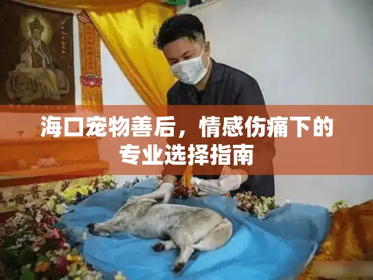 海口宠物善后，情感伤痛下的专业选择指南
