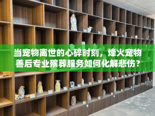当宠物离世的心碎时刻，烽火宠物善后专业殡葬服务如何化解悲伤？