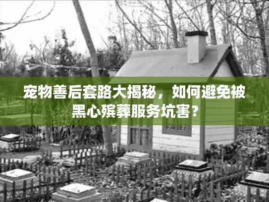宠物善后套路大揭秘，如何避免被黑心殡葬服务坑害？