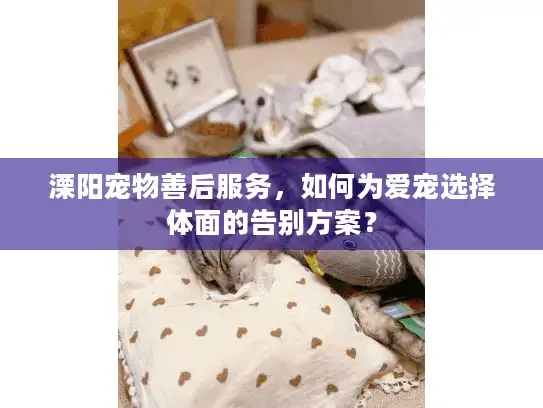 溧阳宠物善后服务，如何为爱宠选择体面的告别方案？