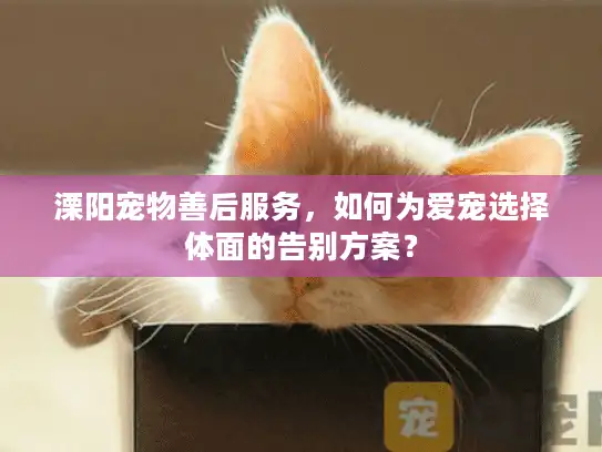 溧阳宠物善后服务，如何为爱宠选择体面的告别方案？