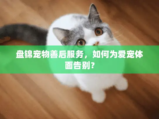 盘锦宠物善后服务，如何为爱宠体面告别？