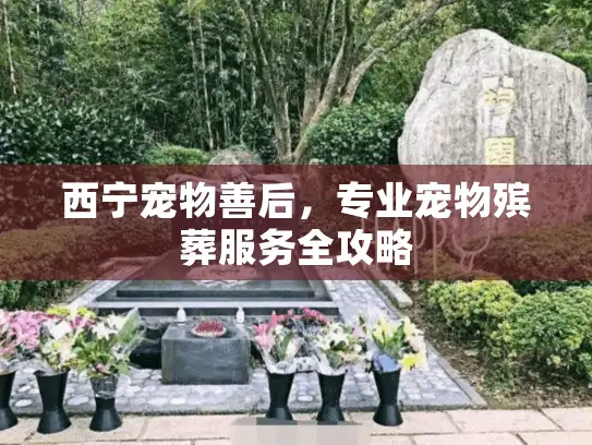 西宁宠物善后，专业宠物殡葬服务全攻略