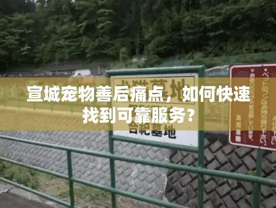 宣城宠物善后痛点，如何快速找到可靠服务？