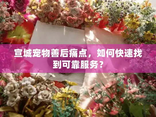 宣城宠物善后痛点，如何快速找到可靠服务？