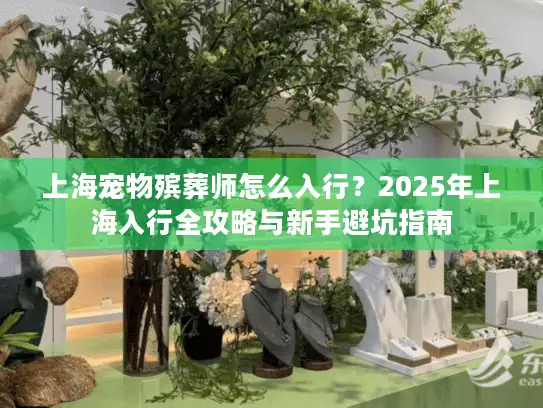 上海宠物殡葬师怎么入行？2025年上海入行全攻略与新手避坑指南