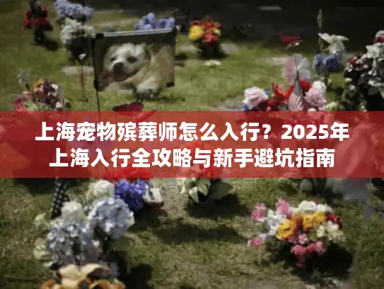 上海宠物殡葬师怎么入行？2025年上海入行全攻略与新手避坑指南
