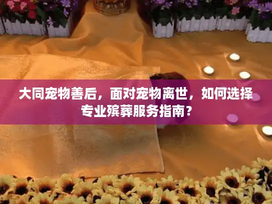 大同宠物善后，面对宠物离世，如何选择专业殡葬服务指南？