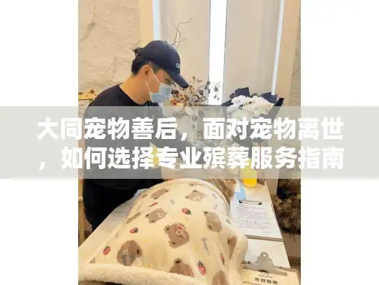 大同宠物善后，面对宠物离世，如何选择专业殡葬服务指南？