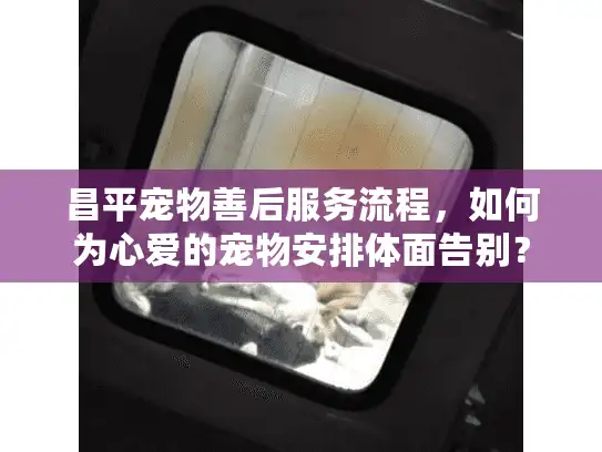 昌平宠物善后服务流程，如何为心爱的宠物安排体面告别？