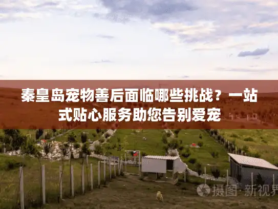 秦皇岛宠物善后面临哪些挑战？一站式贴心服务助您告别爱宠