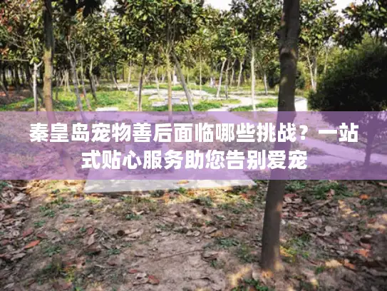 秦皇岛宠物善后面临哪些挑战？一站式贴心服务助您告别爱宠