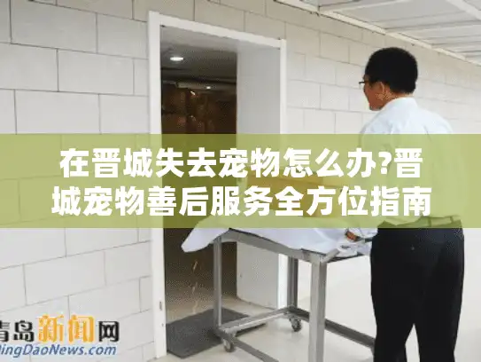 在晋城失去宠物怎么办?晋城宠物善后服务全方位指南
