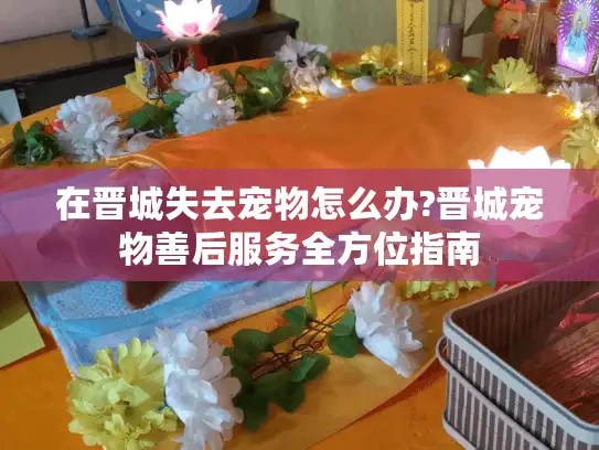 在晋城失去宠物怎么办?晋城宠物善后服务全方位指南