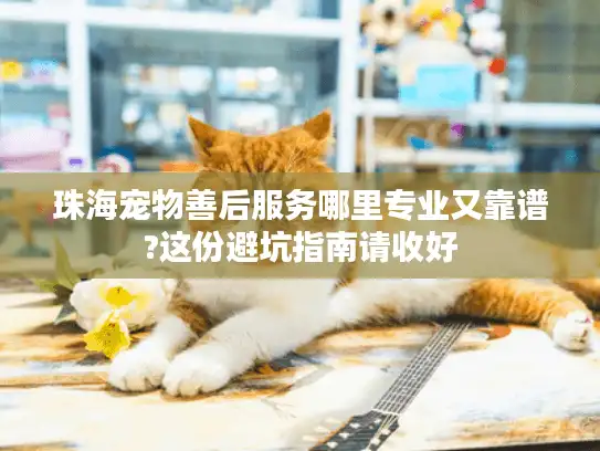 珠海宠物善后服务哪里专业又靠谱?这份避坑指南请收好