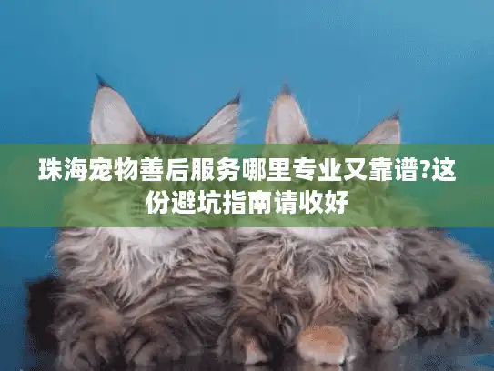珠海宠物善后服务哪里专业又靠谱?这份避坑指南请收好