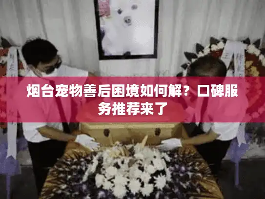 烟台宠物善后困境如何解？口碑服务推荐来了