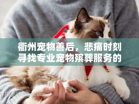 衢州宠物善后，悲痛时刻寻找专业宠物殡葬服务的安心方案