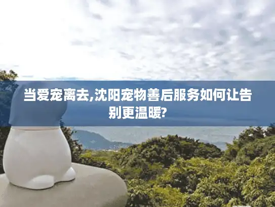 当爱宠离去,沈阳宠物善后服务如何让告别更温暖?