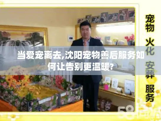当爱宠离去,沈阳宠物善后服务如何让告别更温暖?