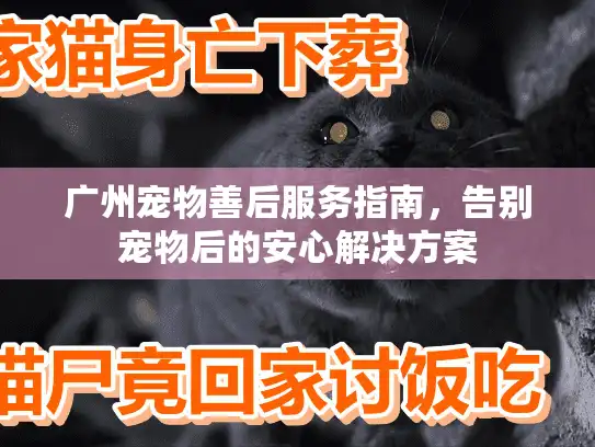 广州宠物善后服务指南，告别宠物后的安心解决方案