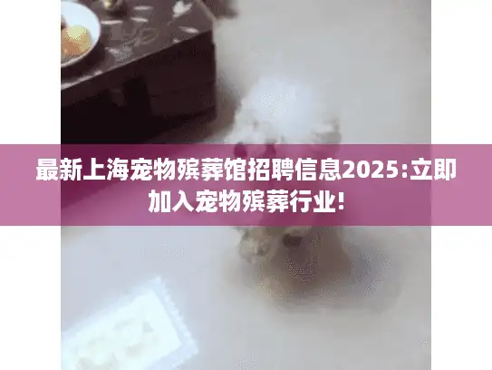 最新上海宠物殡葬馆招聘信息2025:立即加入宠物殡葬行业!