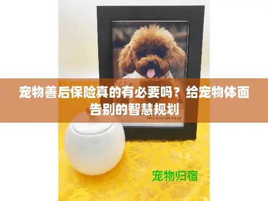 宠物善后保险真的有必要吗？给宠物体面告别的智慧规划