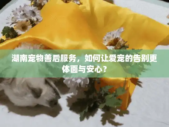 湖南宠物善后服务，如何让爱宠的告别更体面与安心？