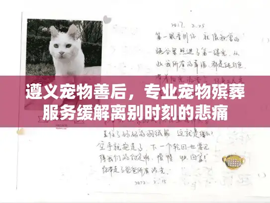 遵义宠物善后，专业宠物殡葬服务缓解离别时刻的悲痛