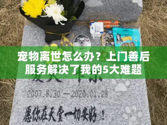 宠物离世怎么办？上门善后服务解决了我的5大难题