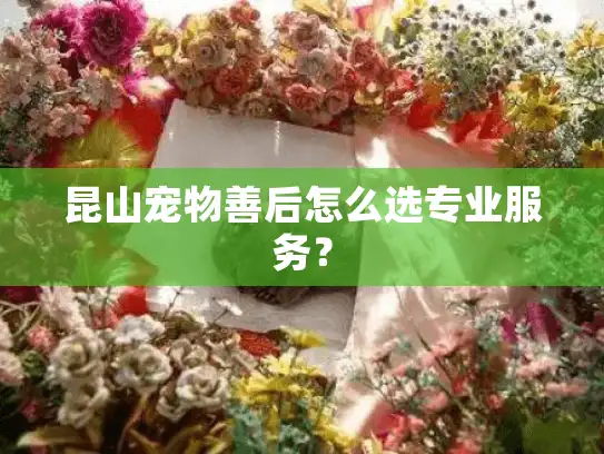 昆山宠物善后怎么选专业服务？