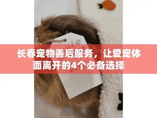 长春宠物善后服务，让爱宠体面离开的4个必备选择