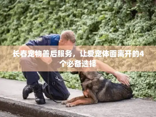 长春宠物善后服务，让爱宠体面离开的4个必备选择