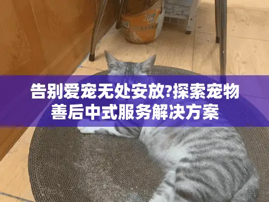 告别爱宠无处安放?探索宠物善后中式服务解决方案