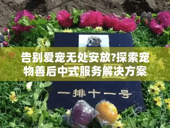 告别爱宠无处安放?探索宠物善后中式服务解决方案
