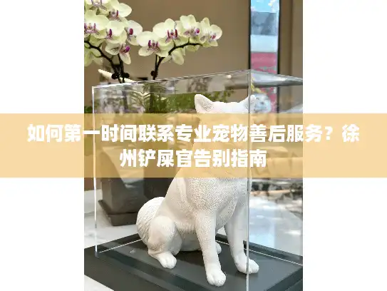 如何第一时间联系专业宠物善后服务？徐州铲屎官告别指南