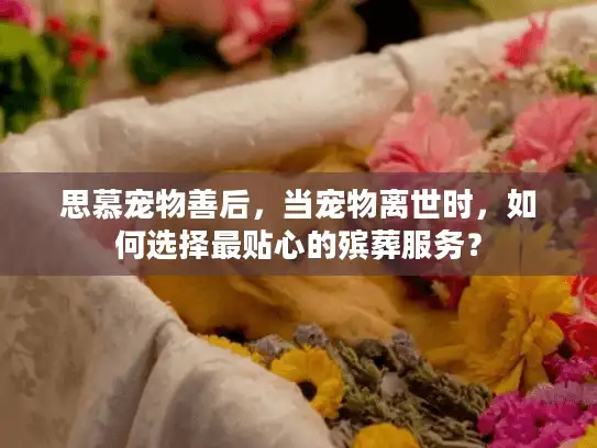 思慕宠物善后，当宠物离世时，如何选择最贴心的殡葬服务？