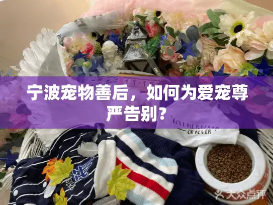 宁波宠物善后，如何为爱宠尊严告别？