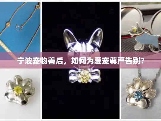 宁波宠物善后，如何为爱宠尊严告别？