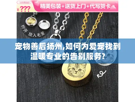 宠物善后扬州,如何为爱宠找到温暖专业的告别服务?